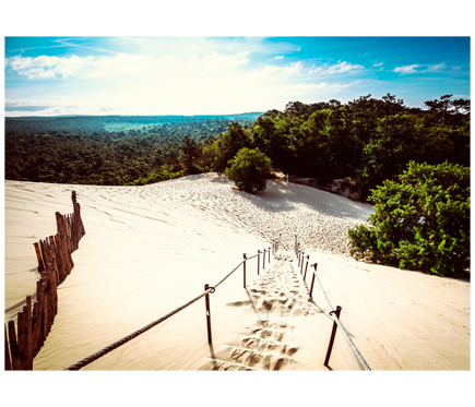 Novedades en cuadros en Leroy Merlin: tres opciones