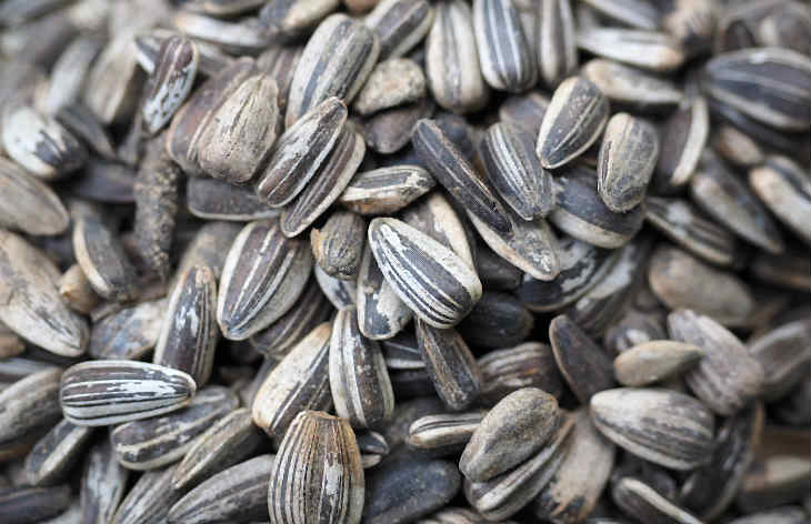 Pipas G con sabor a Whopper de Burger King