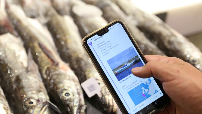 Merluza de Carrefour