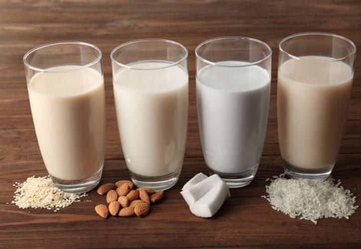 Bebidas vegetales Ecocesta de Día