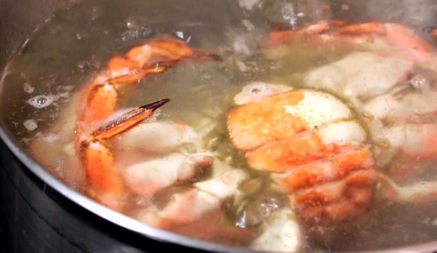 Marisco cociéndose