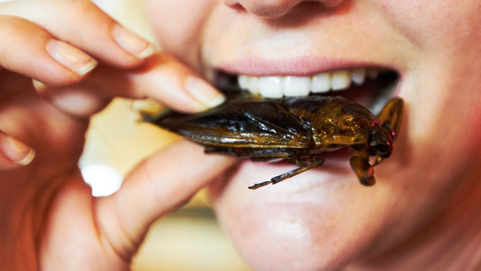 Comer grillos es bueno para la salud intestinal