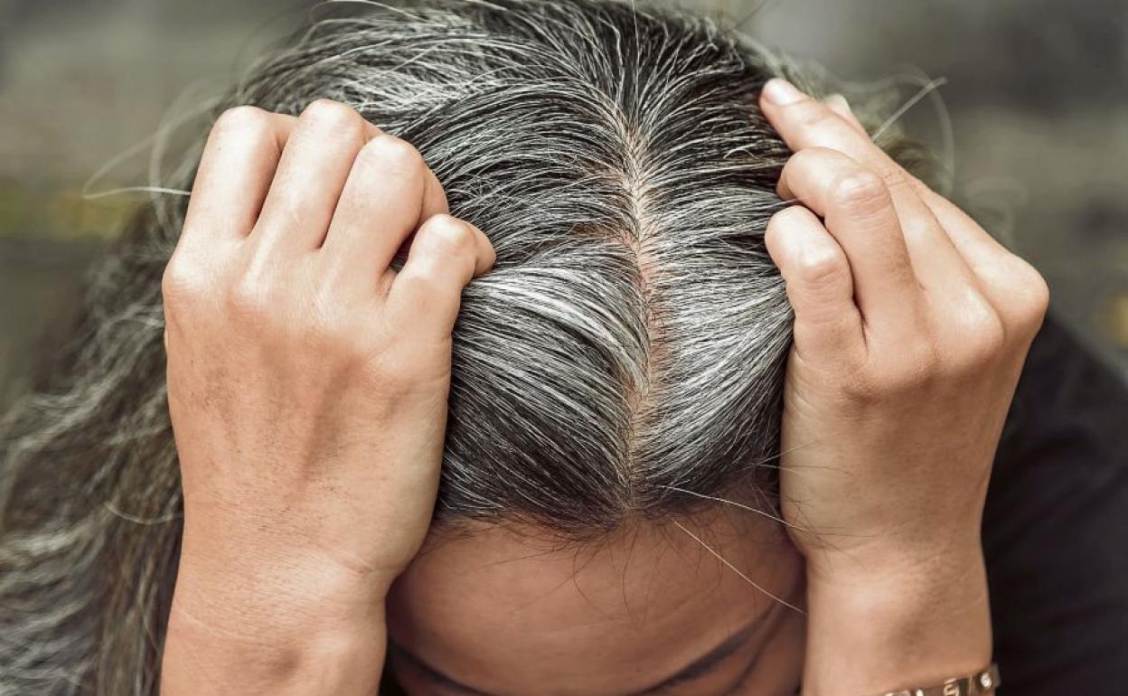 Mercadona vende este producto para acabar con problemas de raíces y canas