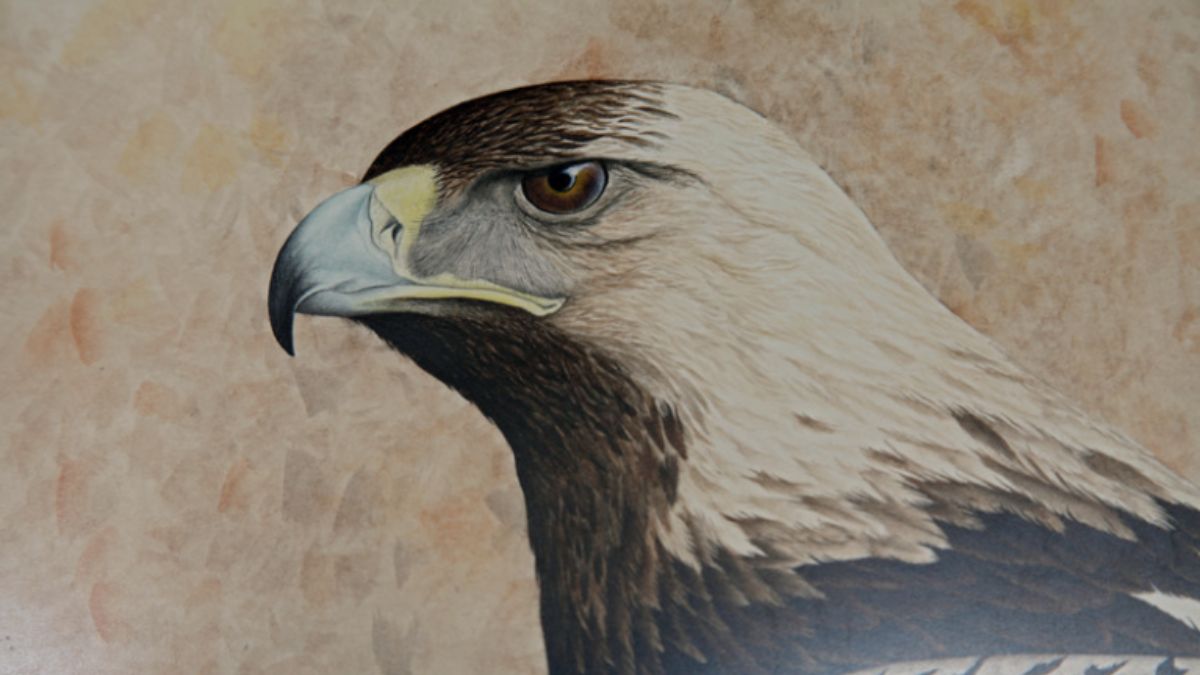 Explorando la Ruta de las Chorreras en Valdepeñas de Jaén: Un Paraíso Natural en la Sierra Sur