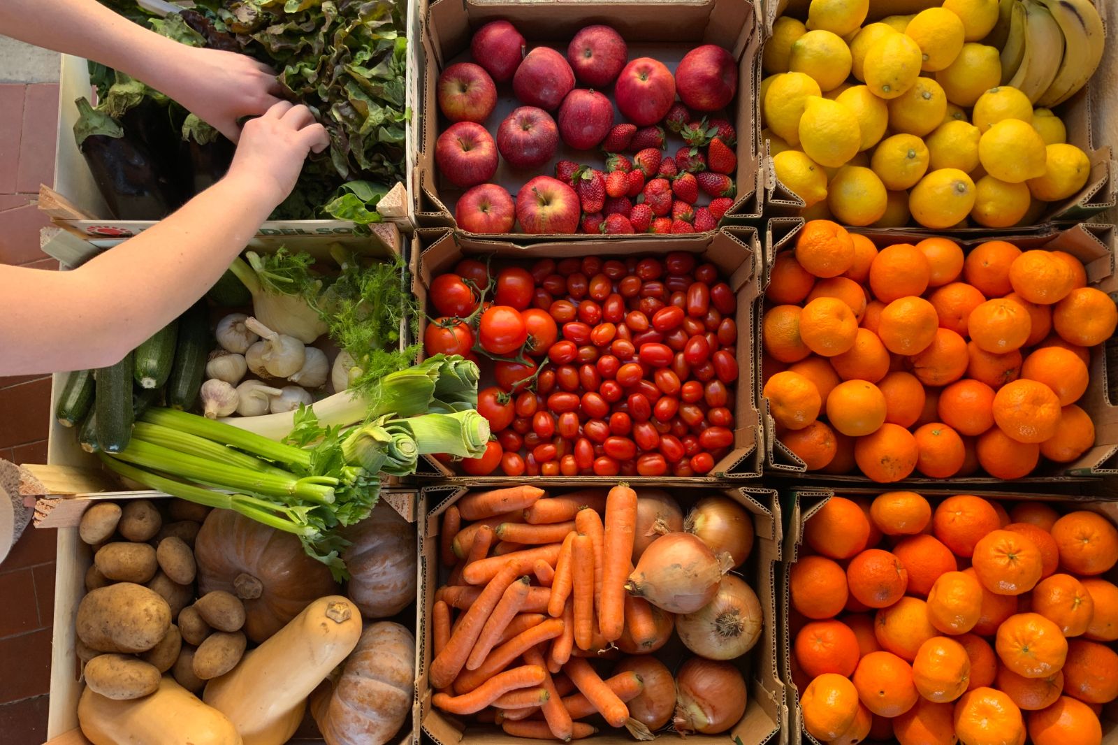 Logística eficiente: la importancia del embalaje en el sector agroalimentario