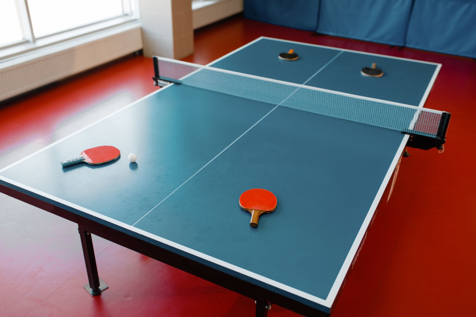 El tenis de mesa en casa: salud y diversión para toda la familia