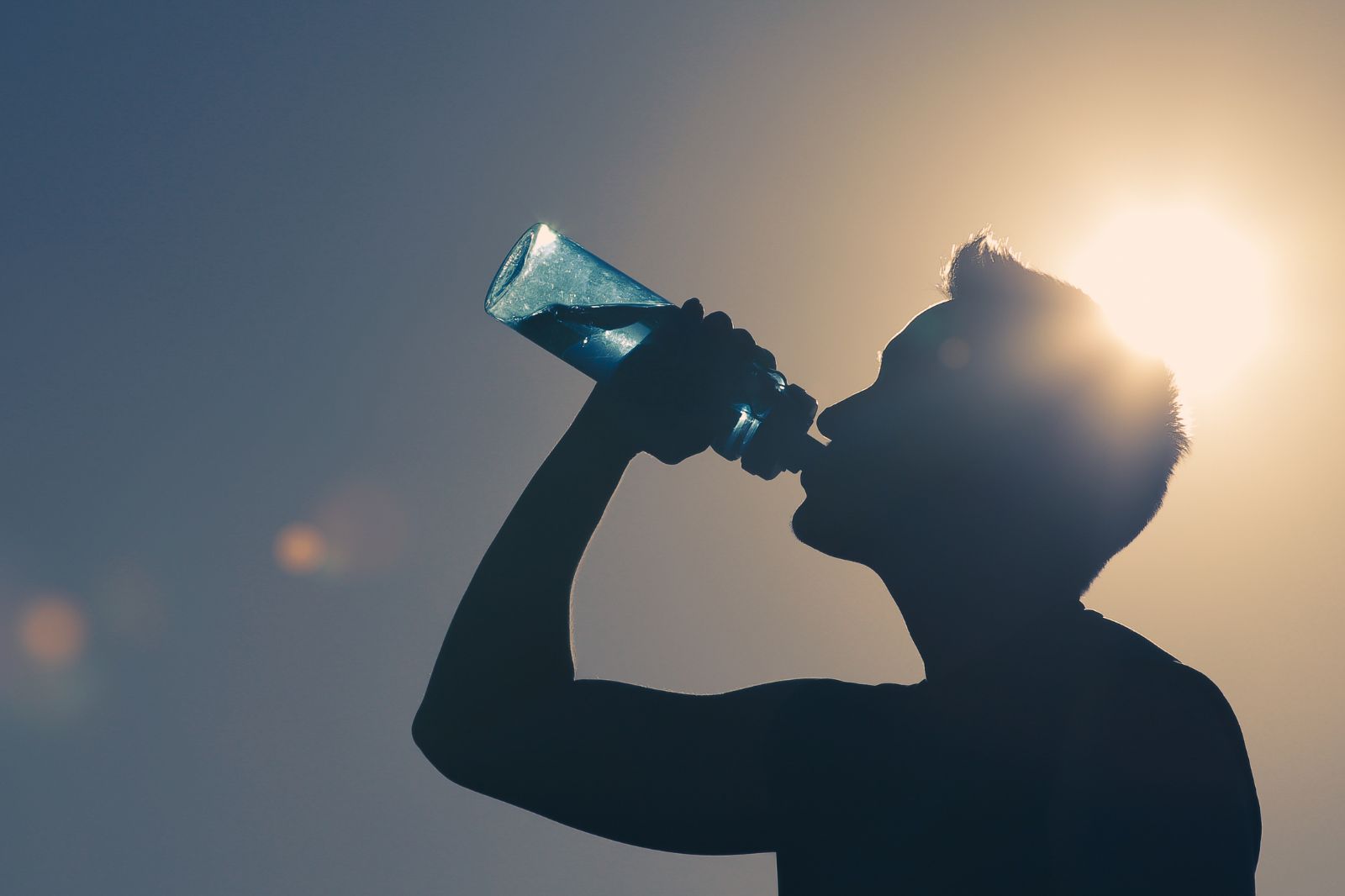 Nutrición celular y equilibrio electrolítico: la base del bienestar