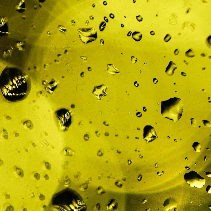 La cultura del aceite de oliva virgen extra y la apreciación de sus atributos